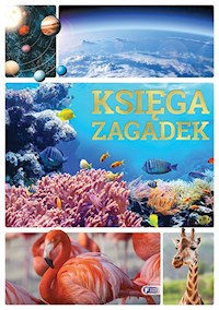 Księga zagadek -  - książka