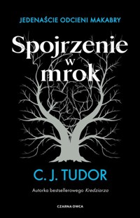 Spojrzenie w mrok - C. J. Tudor - książka