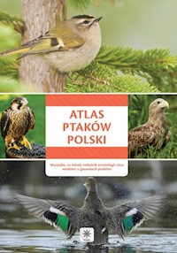 Atlas ptaków Polski -  - książka