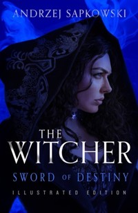 Sword of Destiny - Andrzej Sapkowski - książka