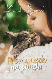 Promyczek na święta - Klaudia Bianek - ebook + książka