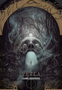 Pętla - Staniszek Kamil - książka