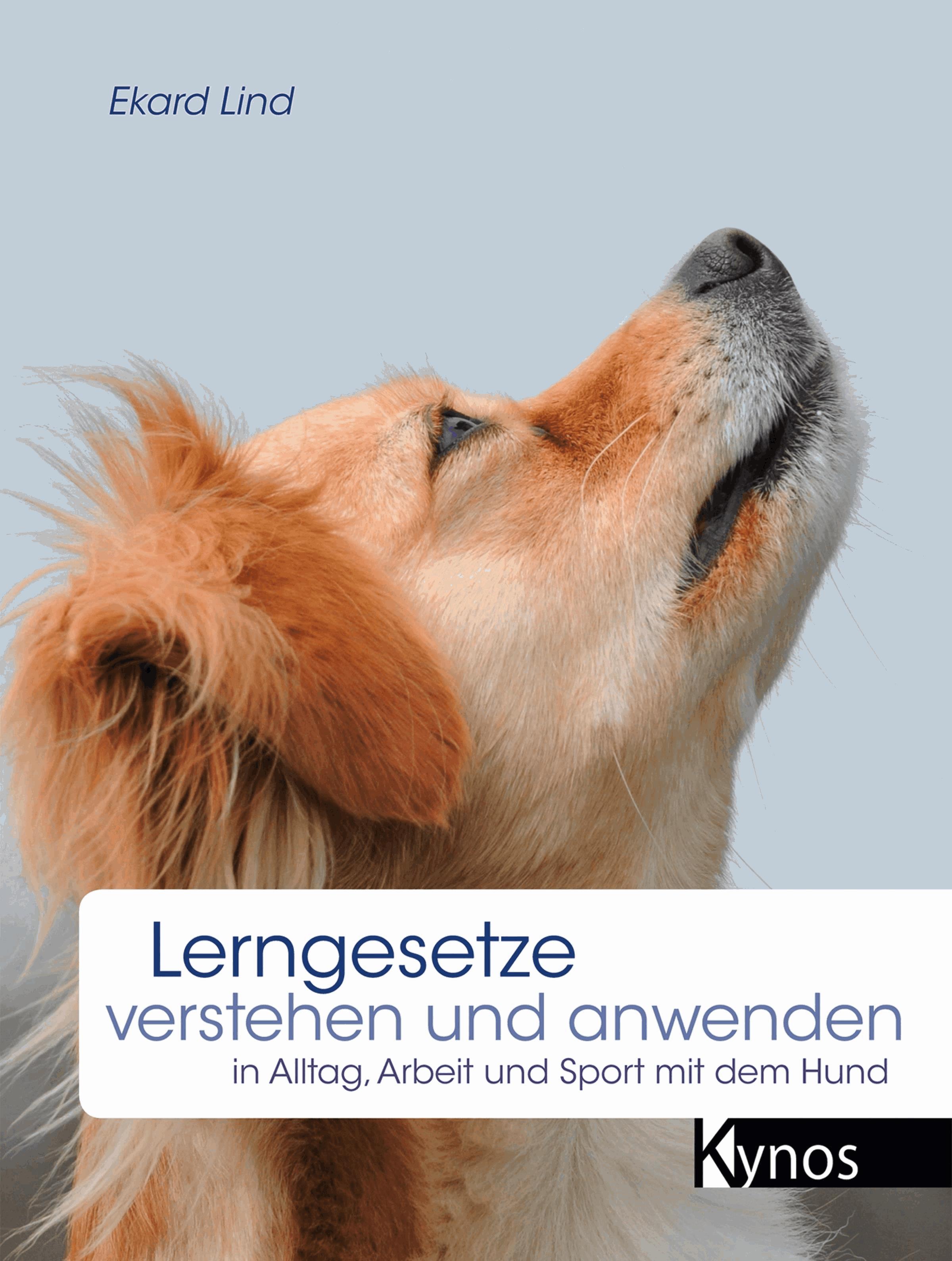 Lerngesetze verstehen und anwenden