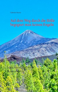 Auf dem Weg durch die Hölle begegnet man keinen Engeln - Gabriele Meerts - ebook