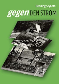 Gegen den Strom - Henning Seyboth - ebook