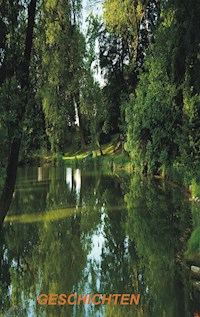 Lebensgeschichten - Geschichten, die das Leben schrieb - Günter Richter - ebook