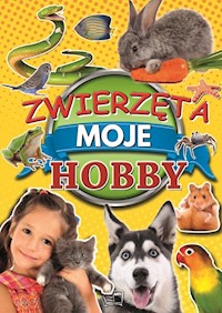 Zwierzęta Moje hobby -  - książka