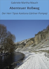 Abenteuer Roßwag - Gabriele Martha Mauch - ebook