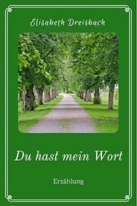 Du hast mein Wort - Elisabeth Dreisbach - ebook