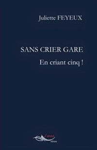 Sans crier gare - Juliette Feyeux - ebook