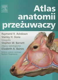 Atlas anatomii przeżuwaczy - Ashdown Raymond R., Done Stanley H. - książka
