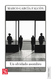 Un olvidado asombro - Marco García Falcón - ebook