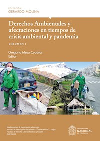 Derechos Ambientales y afectaciones en tiempos de crisis ambiental y pandemia, volumen I - Carlos Eduardo Olaya Díaz - ebook