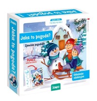 Jaka to pogoda? -  - książka
