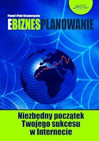 Ebiznesplanowanie. Niezbędny początek Twojego sukcesu w Internecie - Paweł Krzyworączka, Piotr Krzyworączka - ebook