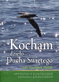 Kocham dzieło Ducha Świętego - Budzik Stanisław - książka