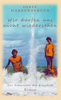Wir dürfen uns nicht wiedersehen - Josef Harrenberger - ebook