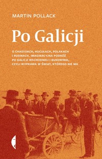 Po Galicji - Pollack Martin - książka