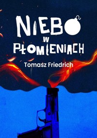 Niebo w płomieniach - Friedrich Tomasz - książka