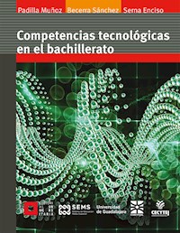 Competencias tecnológicas en el bachillerato - Ruth Padilla Muñoz - ebook
