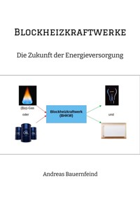 Blockheizkraftwerke - Andreas Bauernfeind - ebook