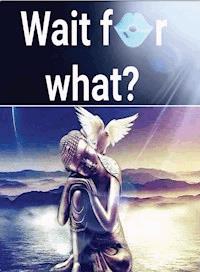 Wait for What? - Christina Varghese - ebook