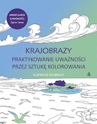 Krajobrazy Praktykowanie uważności przez sztukę kolorowania - Bright Joe - książka