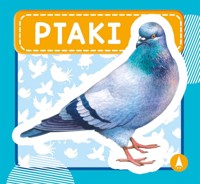 Ptaki - Wydawnictwo Skrzat - książka