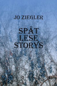 SPÄT LESE STORYS - Jo Ziegler - ebook