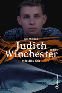 Judith Winchester et le dieu noir - Tome 6 - Julie Michaud - ebook