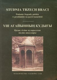 Studnia trzech braci -  - książka