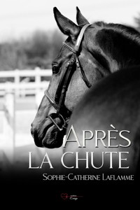 Après la chute - Sophie-Catherine Laflamme - ebook