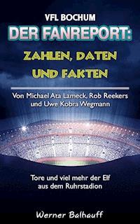 Die Mannschaft aus dem Ruhrstadion – Zahlen, Daten und Fakten des VFL Bochum - Werner Balhauff - ebook
