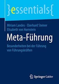 Meta-Führung - Miriam Landes - ebook