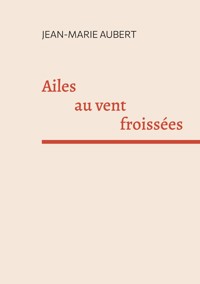 Ailes au vent froissées - Jean-Marie Aubert - ebook