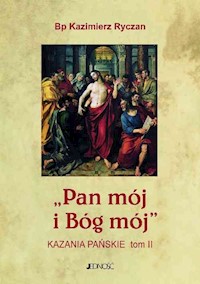 Pan mój i Bóg mój Kazania Pańskie Tom 2 - Ryczan Kazimierz - książka