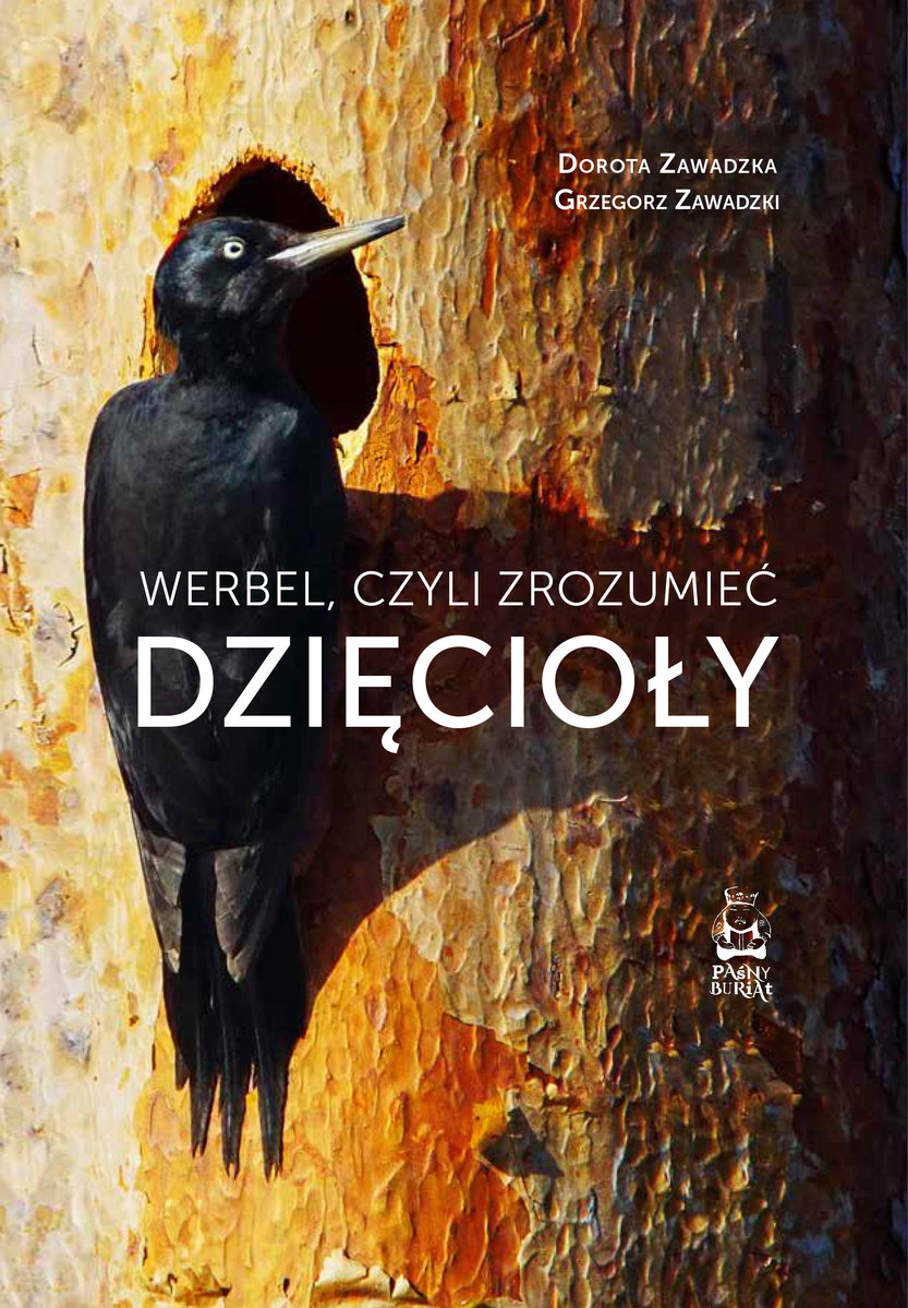 Werbel, czyli zrozumieć dzięcioły - Dorota Zawadzka, Grzegorz Zawadzki - książka