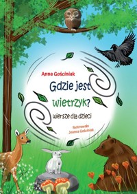 Gdzie jest wietrzyk? - Gościniak Anna - książka