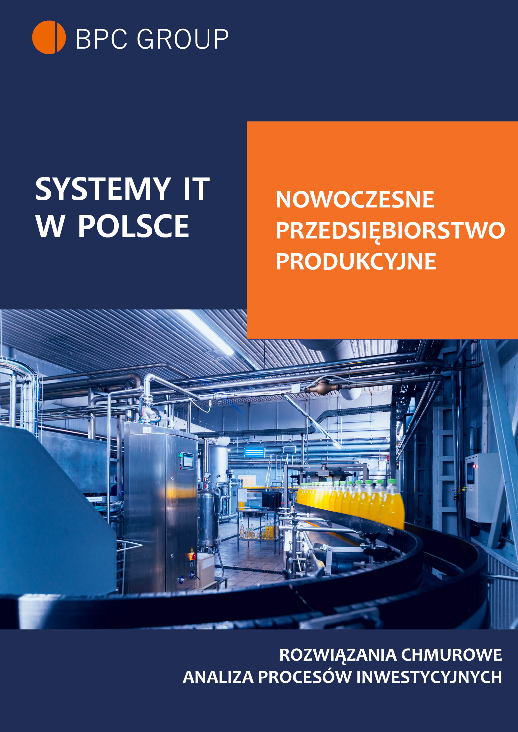 Okładka:Systemy IT w Polsce 