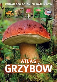 Atlas grzybów - Zarawska Patrycja - książka