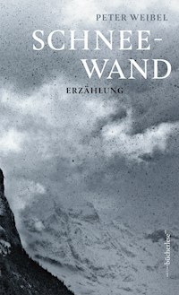 Schneewand - Weibel Peter - ebook