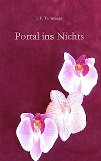Portal ins Nichts - R.F. Tamminga - ebook