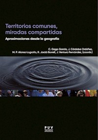 Territorios comunes, miradas compartidas - AAVV - ebook