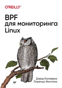 BPF для мониторинга Linux - Дэвид Калавера - ebook