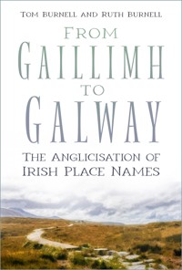 From Gaillimh to Galway - Tom Burnell - ebook