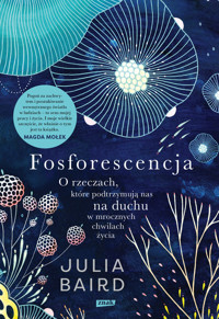 Fosforescencja. O rzeczach, które podtrzymują nas na duchu w mrocznych chwilach życia - Baird Julia - ebook