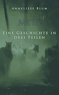Meta - Anneliese Blum - ebook