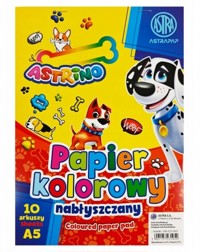 Zeszyt papierów kolorowych nabłyszczanych A5/10k -  - książka