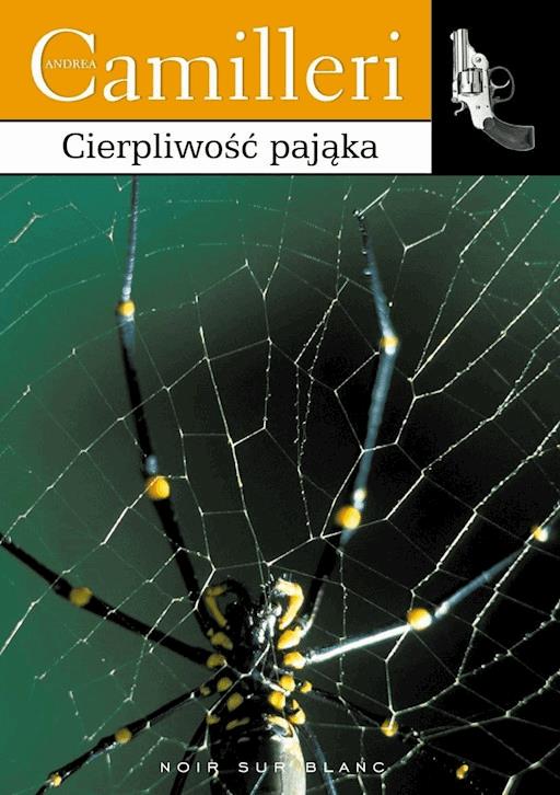Okładka książki Cierpliwość pająka