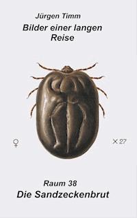 Raum 38  Die Sandzeckenbrut - Jürgen Timm - ebook